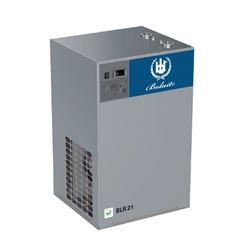 博莱特 BLR 冷冻式干燥机